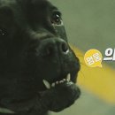 오문희 네이버블로그