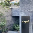 하나건해 | 이태원 레스토랑 사피드 서울 (sapid seoul) 내돈내산 후기+비건비건해
