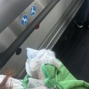 진서동물병원 이미지