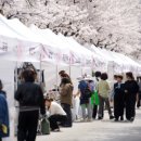 솔올공연장 이미지