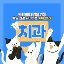 토비동물병원 이미지