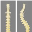 행복세란의원 이미지