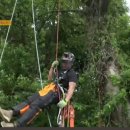 아보리스트 1급 자격증 과정 이미지