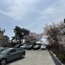 진팔팔감자탕 이미지