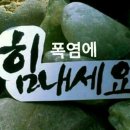 하나둘셋넷
