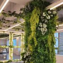 느낌안마시술소 이미지