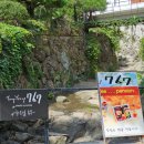 통영 산양읍 브런치 카페 분위기 좋은 레스토랑 : 통영767 (반려견 동반 가능)