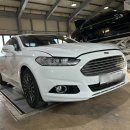 붕붕개러지 이미지