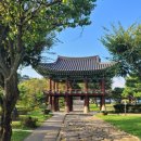 청풍 파노라마 뷰 | 〔제천 일주일 살아보기〕 #4- 청풍호 케이블카, 모노레일, 청풍 문화유산단지