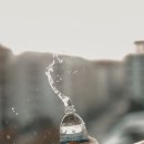 세훈약국 네이버블로그