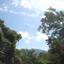 조전2리 이미지