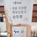 법인도향