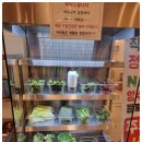 착한고기 이미지