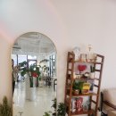 세븐일레븐 대전도안덕성점 | 대전[플뢰리르]도안동 브런치카페, 대전도안동카페 추천 애견동반카페 솔직후기