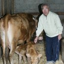 관덕축산 이미지