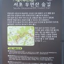 Re: 우면산 데크길 (참석자) 이미지