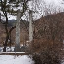자인당약국 | 2022.12.24 ~ 12.31 장기간 철도여행 3일차 영주 부석사(12/26)