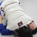 찬스정보통신 이미지