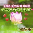 꽃피는날 이미지