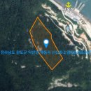 완도공인중개사사무소 이미지