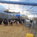 상용농장 이미지