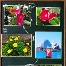 동남아파트 이미지