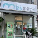 잠실동물병원 | 잠실 햄스터 함께사는 잠실 동물병원 방문 후기 (소동물 진료 실제 경험)