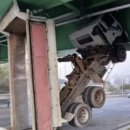 산호대로-15 이미지