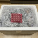 산군 | 인섹트 패밀리 19차 잔여 이벤트 후기(산군님)