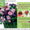 전주,군산,익산 전북권 꽃집 리즈 추천샵 데이트플라워를 소개합니다. 이미지