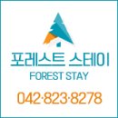스테이포레스트 이미지