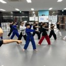 천명태권도 이미지