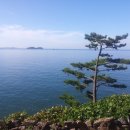 상화원 한국빌라 이미지