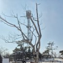 휘닉스파크 | 휘닉스파크 몽블랑 후기｜곤돌라 가격·대기시간·정상뷰 총정리 (아이랑 가능)