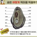 국립수산과학원남동해수산연구소 이미지