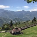 차정농장 이미지