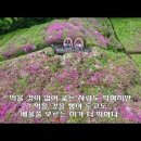 마음의 양식 이미지