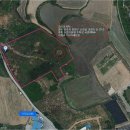 괴정리사지 석조여래입상 이미지