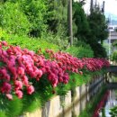 직업상담사 필기 - 노동시장론 이미지