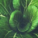 산바래기농장 이미지