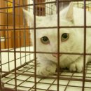 한스동물병원 이미지