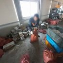 폐기물오케이 이미지