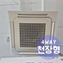 물고기412