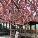 선동경로당 이미지