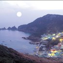 홍도개발
