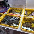 도영상회 이미지