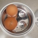 꼬꼬 계란찜기 초간단 전자레인지 계란 삶기 상세 후기