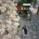 부산 목련 명소 모모스커피 온천장 본점 주말 웨이팅 후기