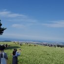 오라 서울신문