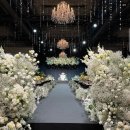 화이트홀 이미지